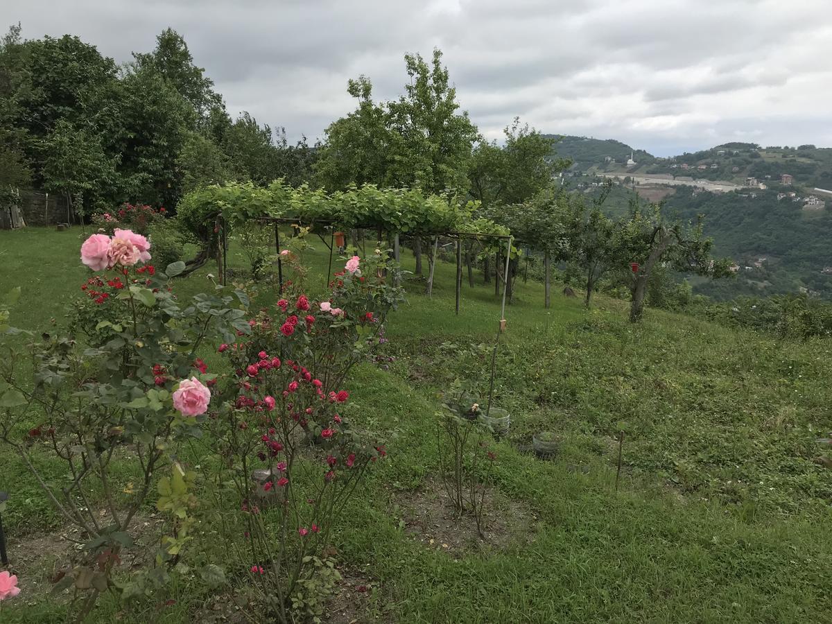 Sea & Nature Villa Hisar Trabzon Buitenkant foto