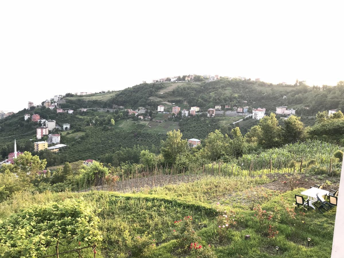 Sea & Nature Villa Hisar Trabzon Buitenkant foto