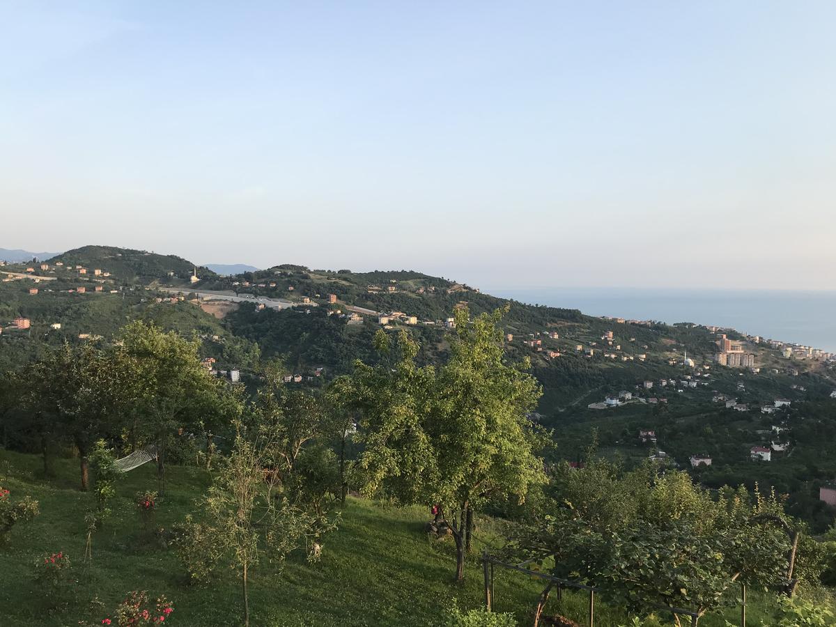 Sea & Nature Villa Hisar Trabzon Buitenkant foto