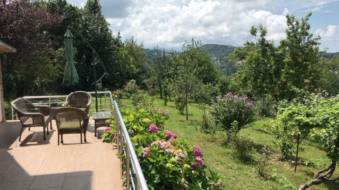 Sea & Nature Villa Hisar Trabzon Buitenkant foto