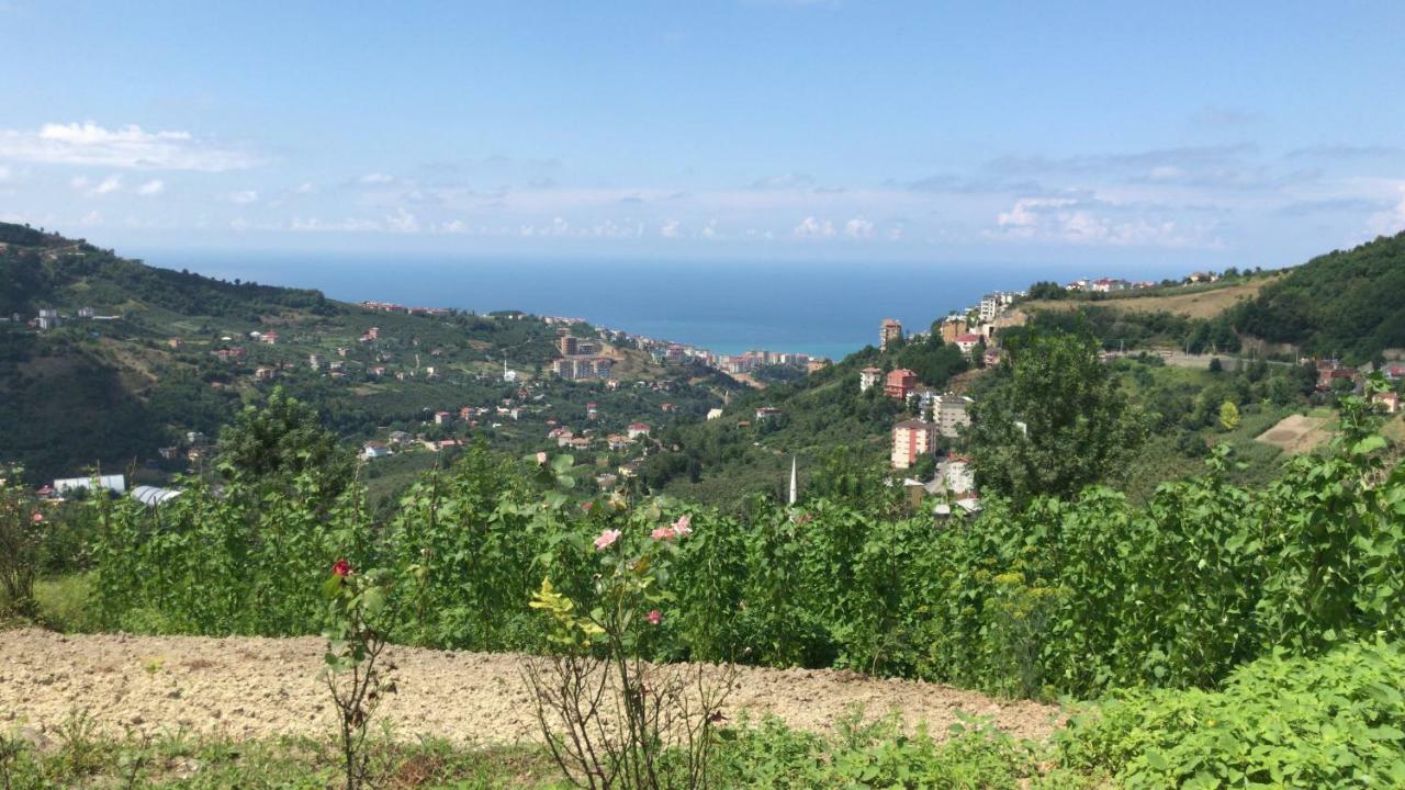Sea & Nature Villa Hisar Trabzon Buitenkant foto