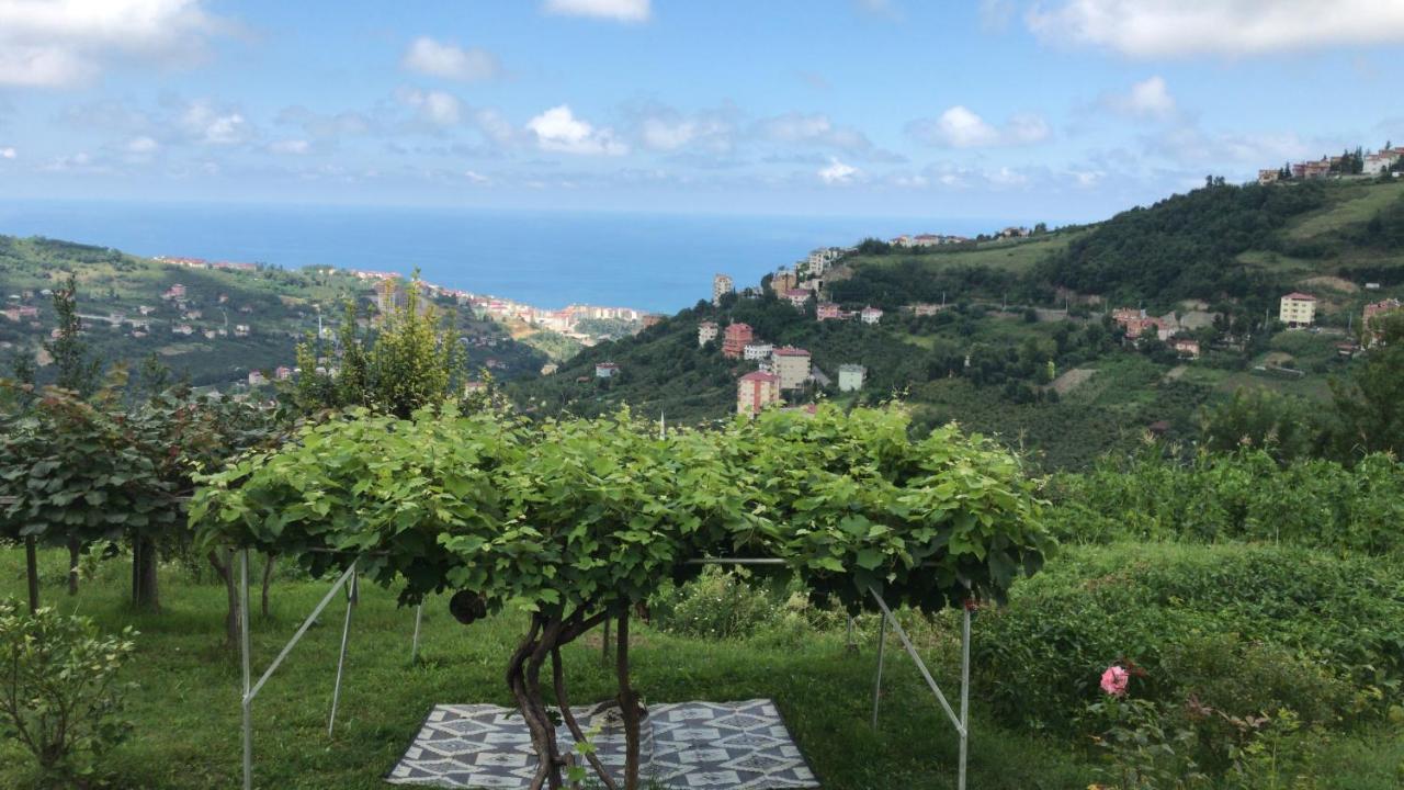 Sea & Nature Villa Hisar Trabzon Buitenkant foto